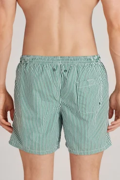 Green Striped Swim Trunks