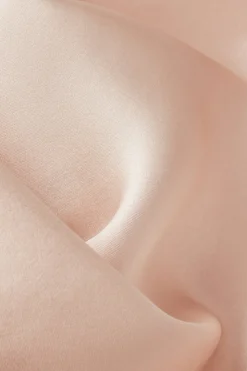 Silk Slip with Lace Insert Detail